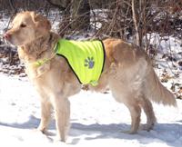 Sikkerhedsvest til hunden str L