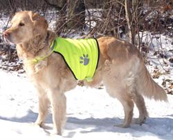 Sikkerhedsvest til hunden str S